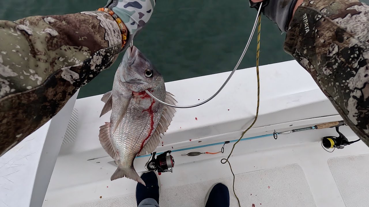 Catch and Cook - Porgy Salad