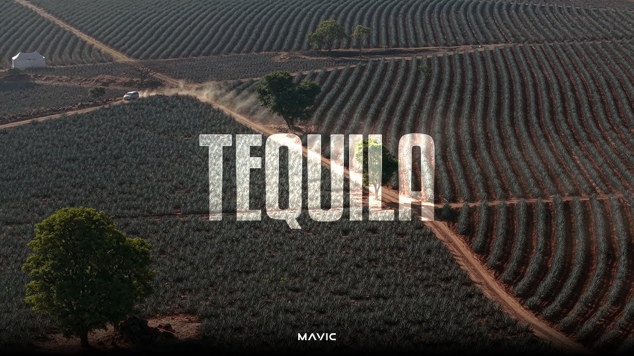 Fuimos a DOS FESTIVALES en el MISMO DÍA 🤯 | Akamba y FNSM | MAVIC ofc