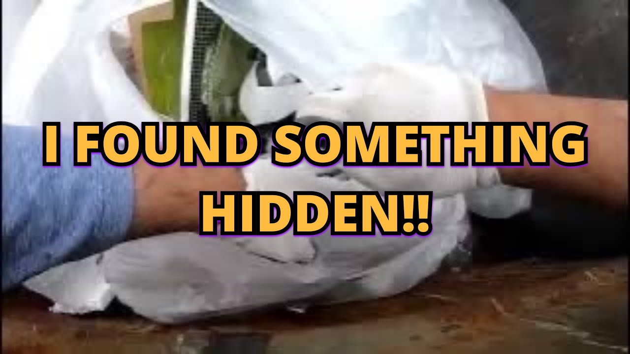 DUMPSTER DIVING-I FOUND SOMETHING HIDDEN!! I'M TAKING IT BEFORE THEY GET IT, JACKPOT 