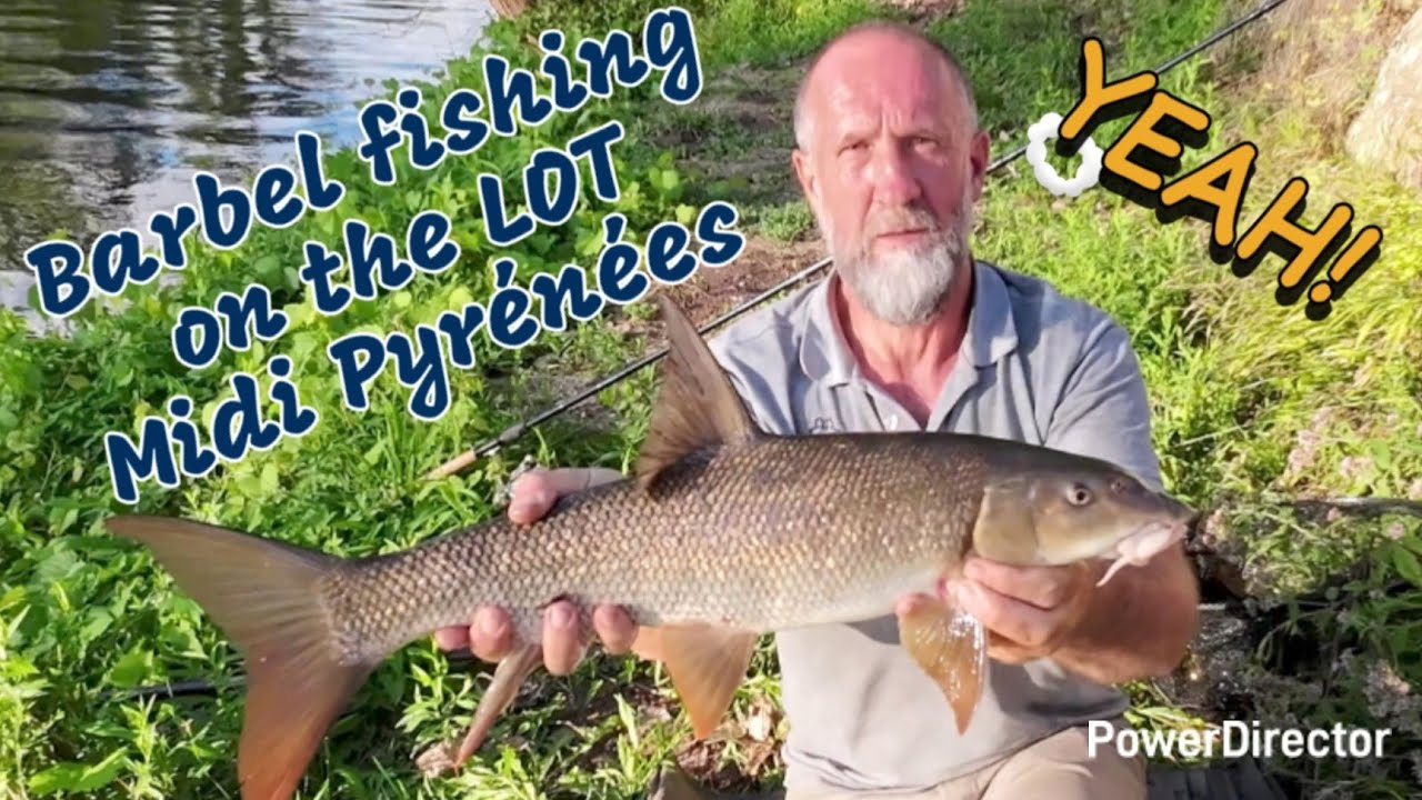 Barbel fishing on the river LOT Fr. 2025