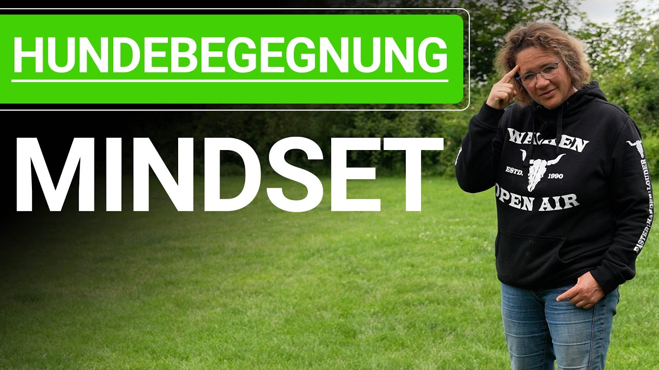 🐶 Stephanie Salostowitz ➡️ Hundebegegnung MINDSET ➡️ Hundebegegnungen ohne Stress 🐶✔️