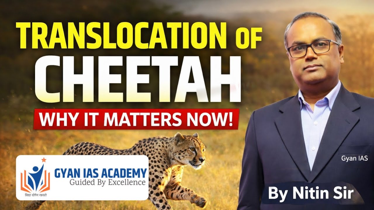 Cheetah Translocation in India | Project Cheetah Explained | By Nitin Sir | Gyan IAS