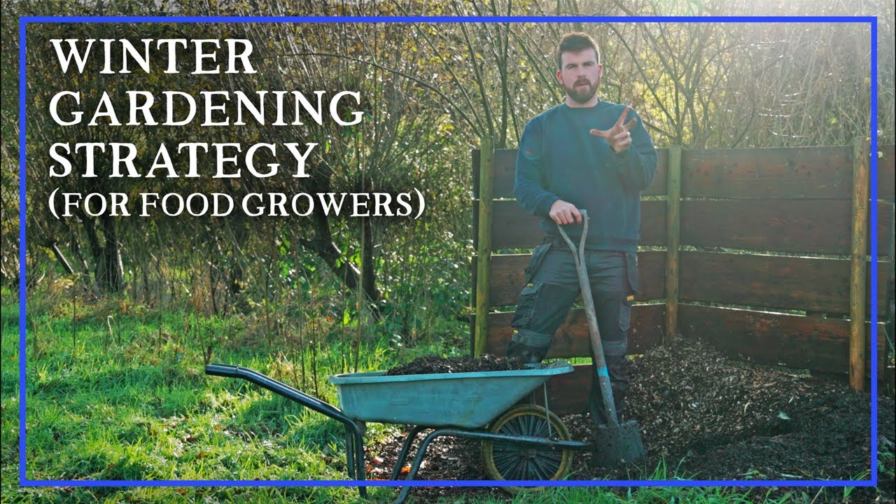 Creating a Winter Gardening Strategy for a Productive 2026 Season