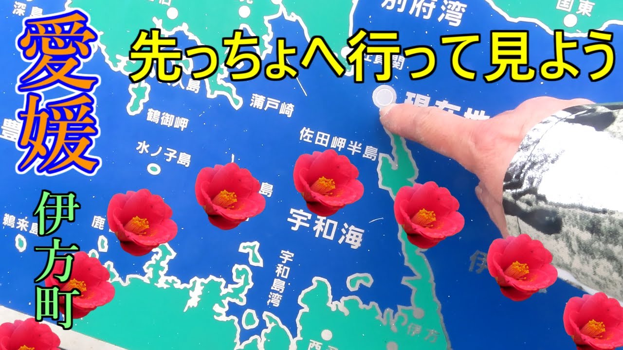 【愛媛旅行】春のドライブひとり旅！山全体に椿の花が咲き誇る四国最西端の地 佐田岬灯台公園 tourist destinations in japan Ehime Sadamisaki