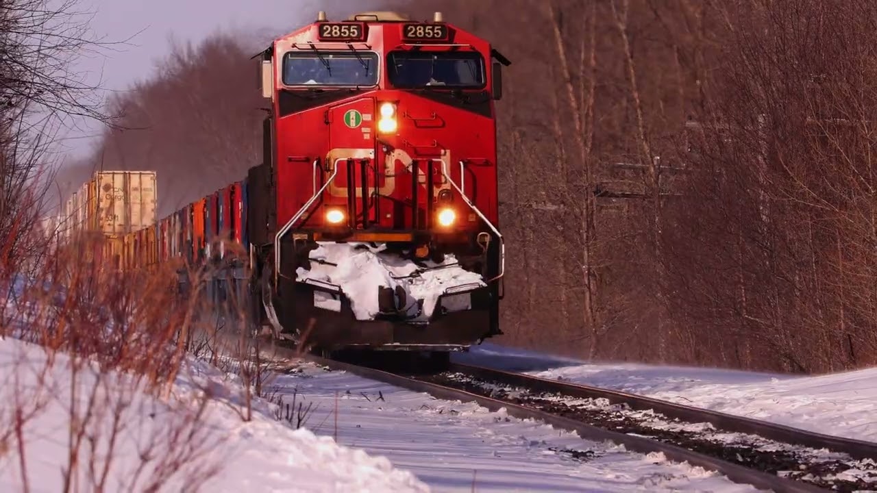 railfanning the CN BALA sub 70MPH FREIGHT￼ TRAINS!!!!! TON's of DASH9's and more