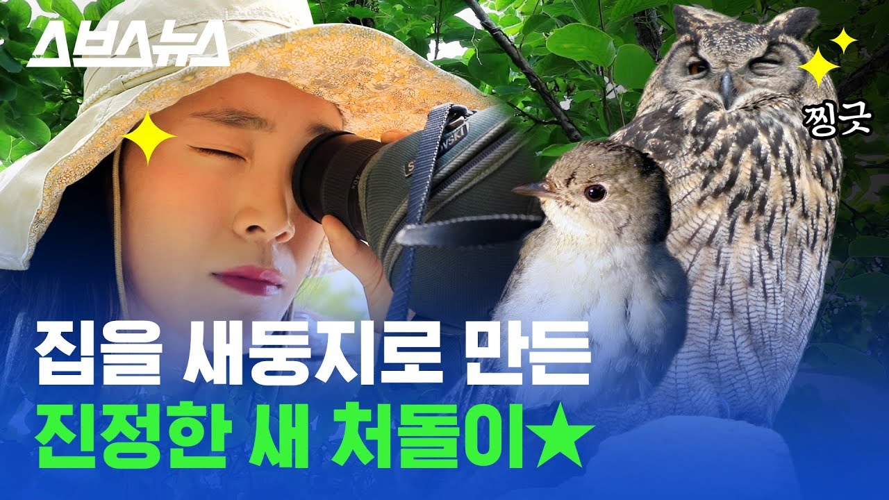 ◎◆◎ 새 덕질하다가 연구소까지 차려버린 20대 새 박사 feat.리틀 포레스트 실사판 / 스브스뉴스