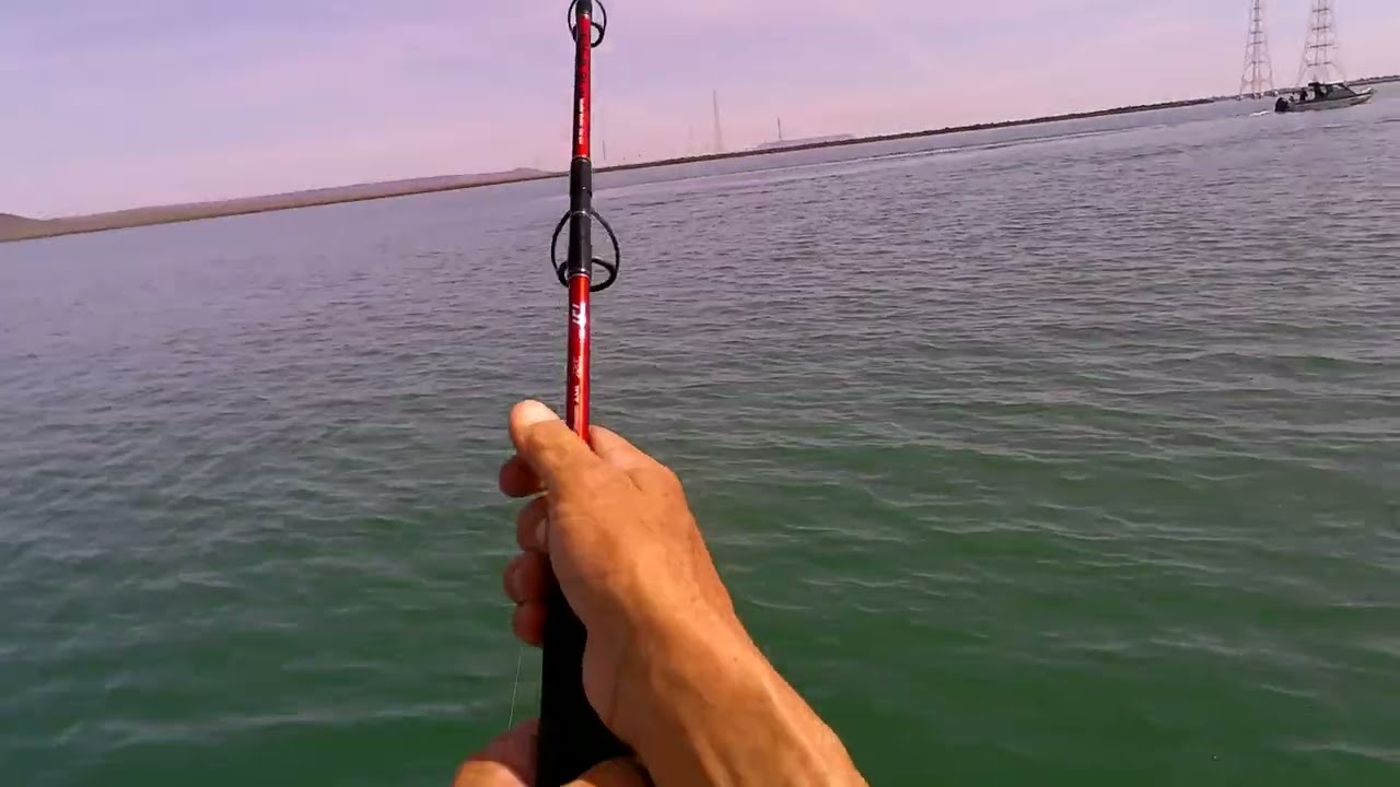 big kingfish port augusta power station