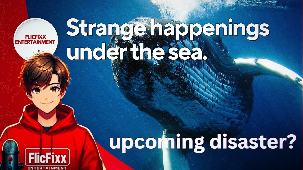 Doomsday Fish: Deep Sea Creatures Coming To Surface | viral news |