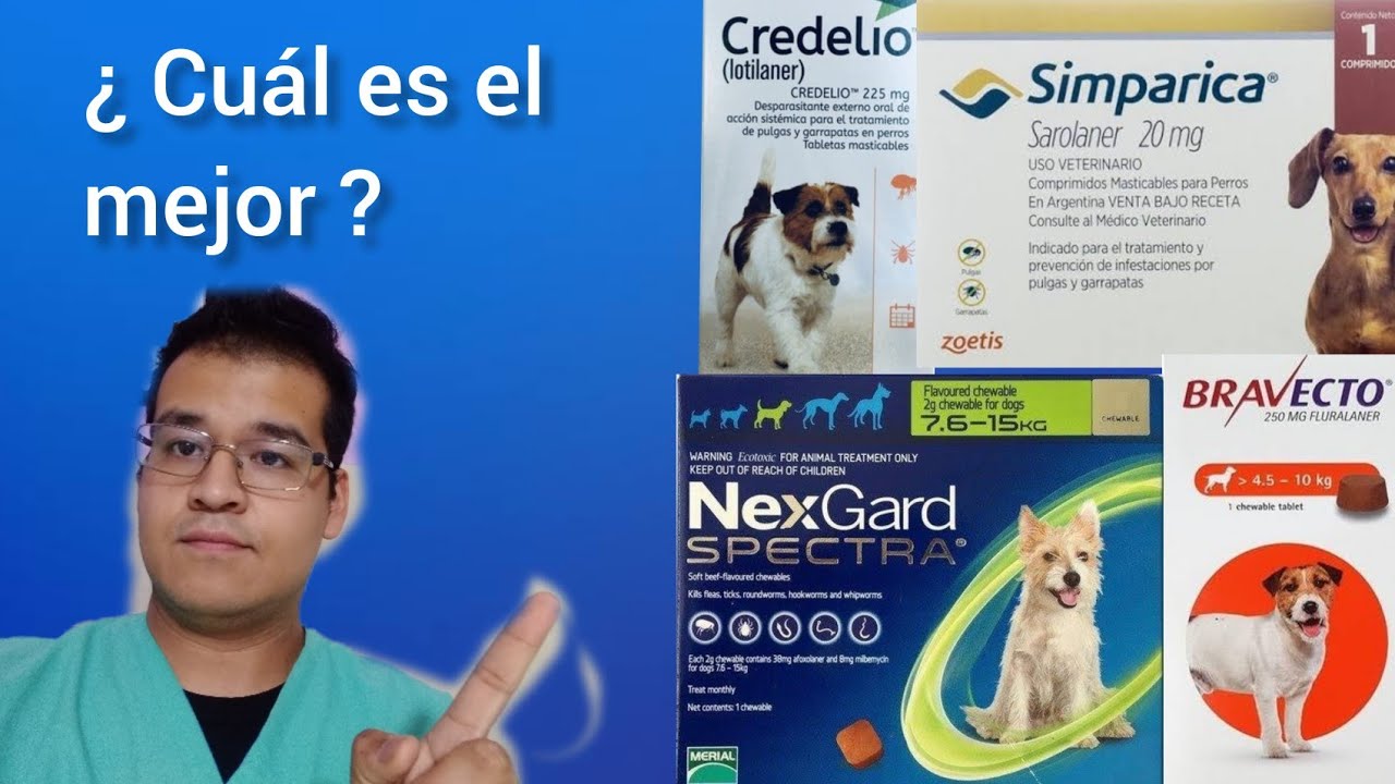 Tabletas ( pastilla) contra pulgas y garrapatas ¿ Cuál es la mejor ?