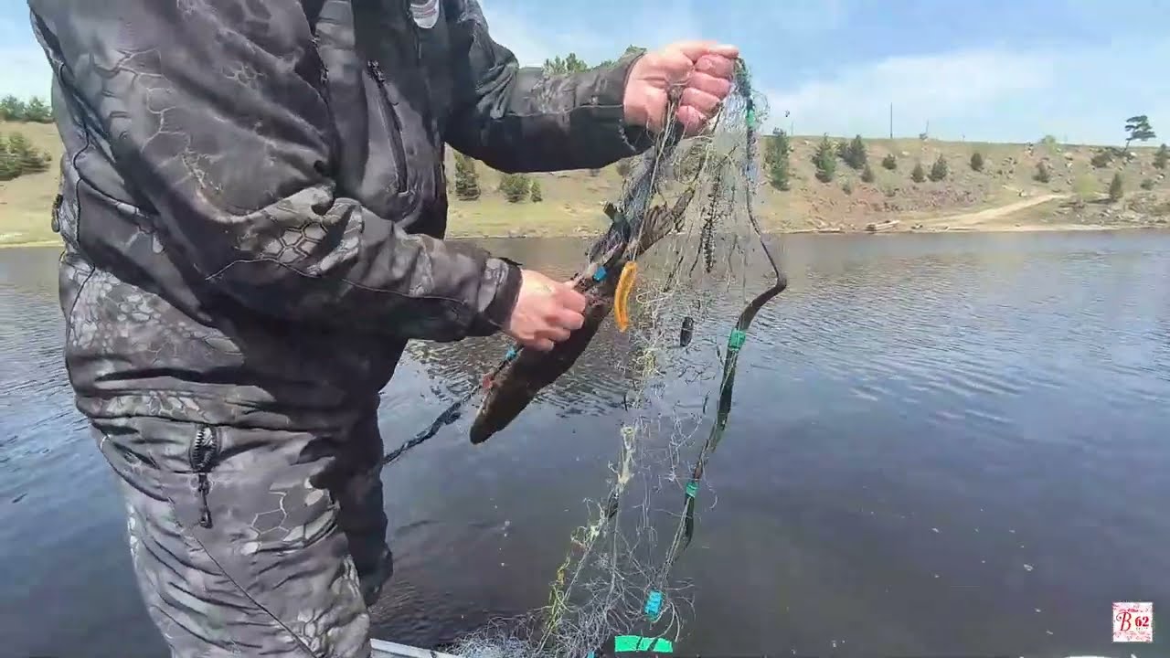 Незаконный улов. Продолжаются рейды против браконьеров.