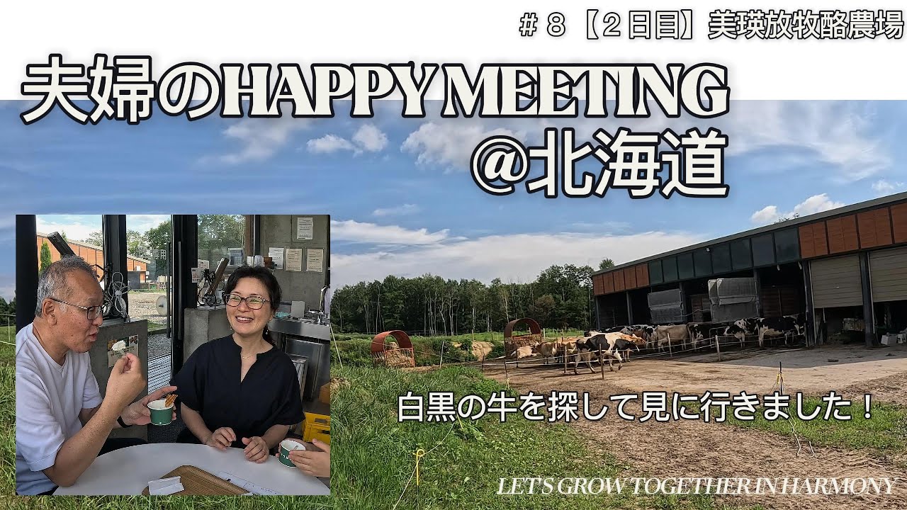 【夫婦のHappy Meeting[家族編]】#8.美瑛放牧酪農場で白黒の牛を見てきました！黒毛和牛なら見かけることはあっても？？白黒のホルスタインは北海道っぽくって^^
