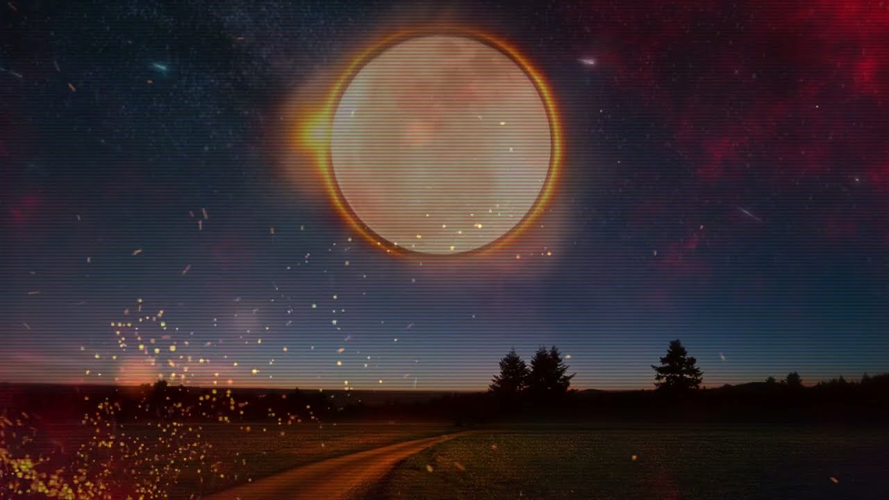 the 4 rivers - see the falling stars (official video)