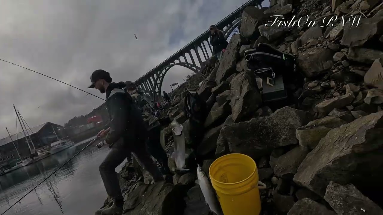 Something but different day and different fish
