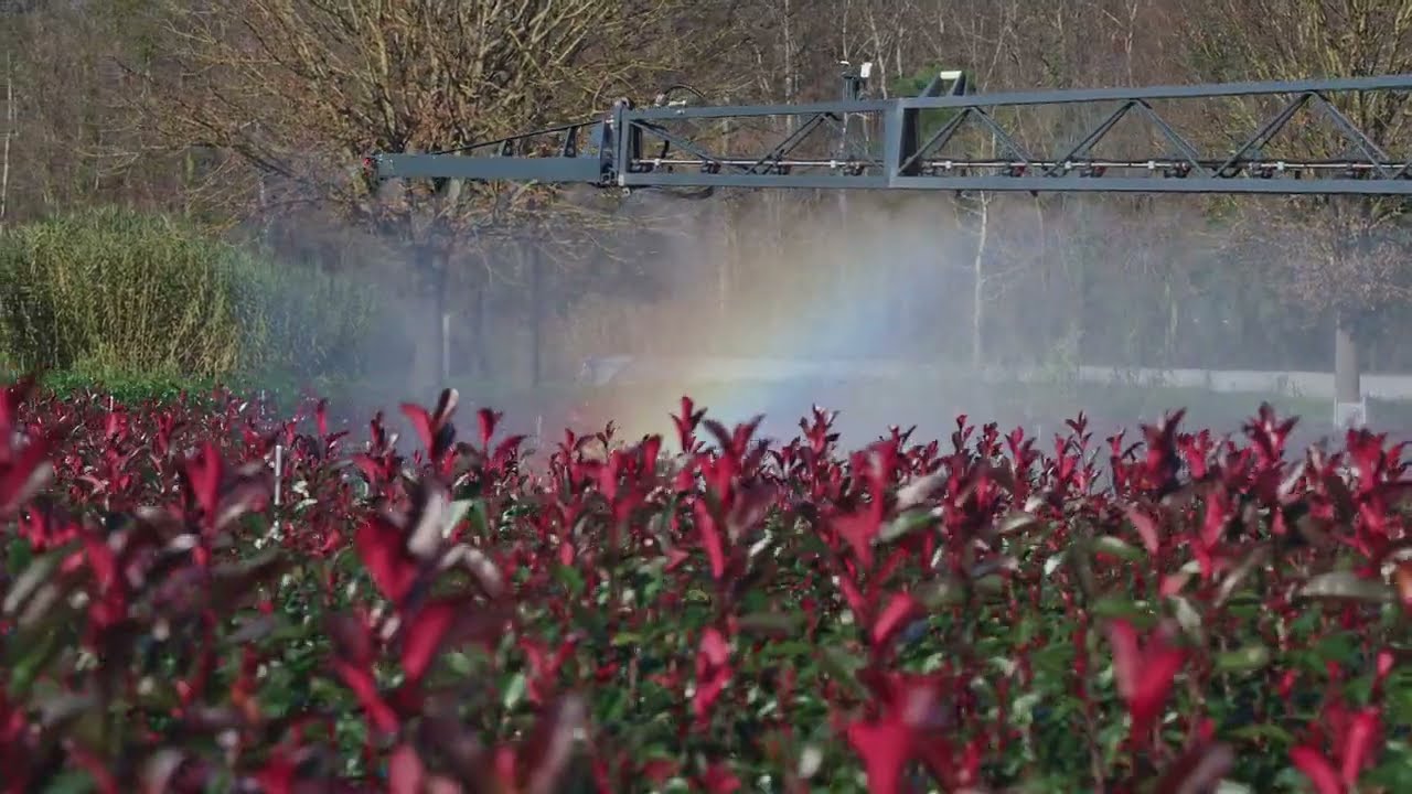 Presentazione Vivai Piante Gieffe e Vivai Leonardo