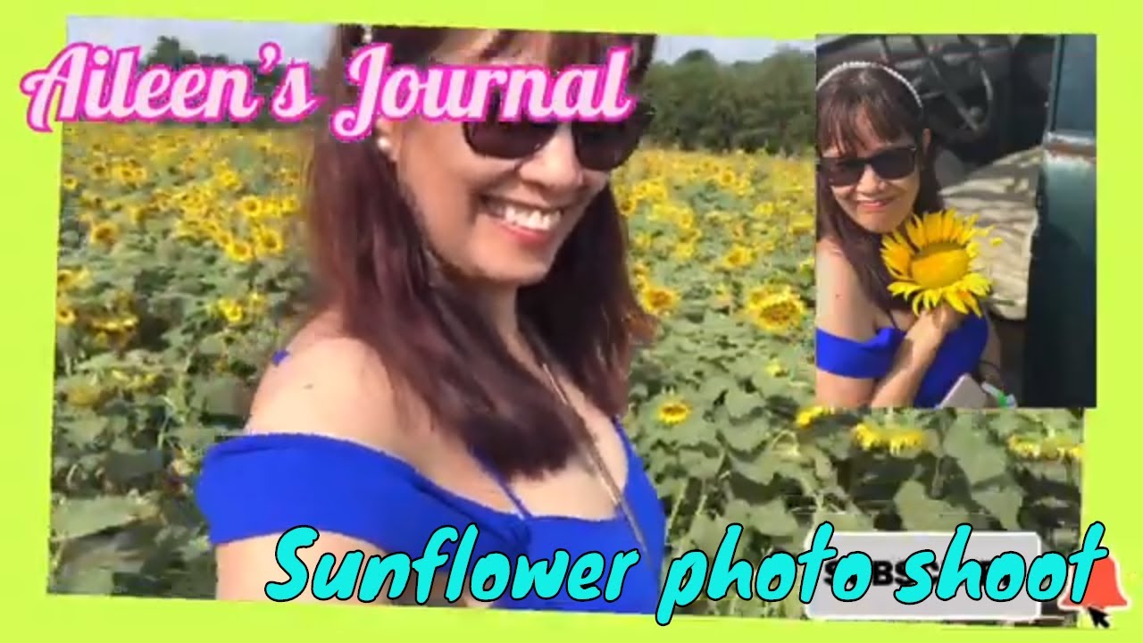 SUNFLOWER FARM  TOUR🌻 GEORGE TOWN KY | FIRST TIME EXPERIENCE | aileen'sjournal