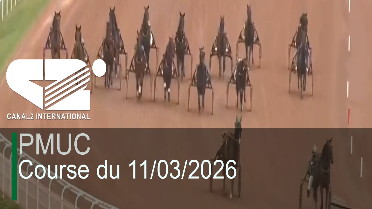 🚨 [LIVE] PMUC - Course du 11/03/2026 (Arrivée : 5-8-9-13-6-12-3)