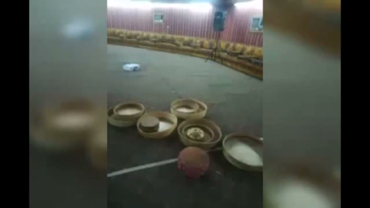 قادري اوف ماميت عبدالله الجمعان لعب بوفهد الثاقب 