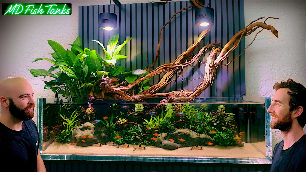 The Most Custom Aquarium I've Ever Made & Amazing Planted Aquascape