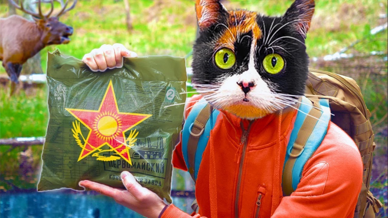 1 GIORNO NELLA FORESTA CON UNA RAZIONE DEL KAZAKISTAN