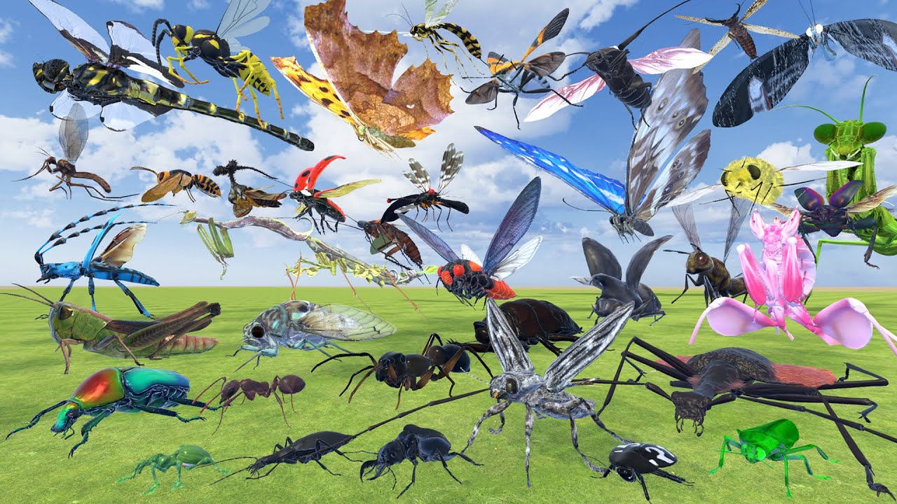 Insect Body Length Comparison | 3D Animation | Real Scale Comparison