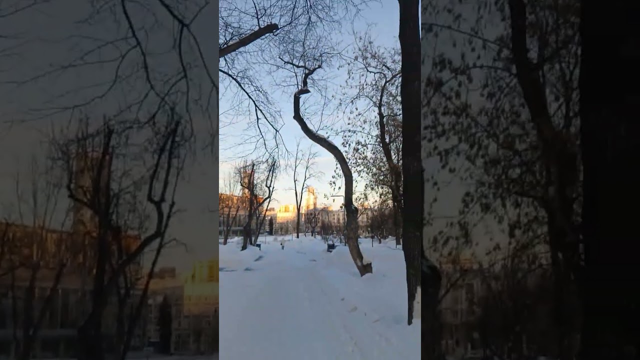 11.02.26 Сквер у Дворца Молодёжи 
