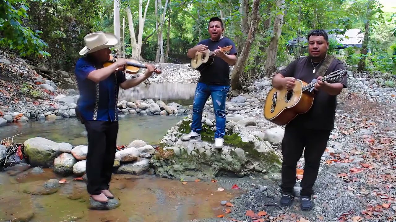 El Gustito - Trio Alborada Hidalguense