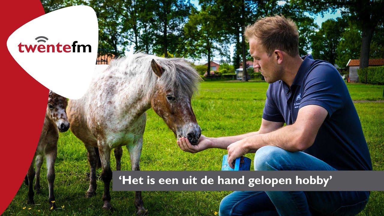 Paardenruil met buurman loopt bij Stef (32) uit Lattrop uit de hand - Twente FM