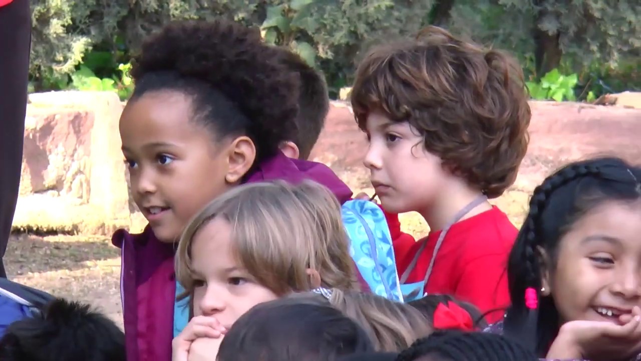 La Festa dels Drets dels Xiquets i les Xiquetes - CEIP Max Aub i CEIP Vivers (València)