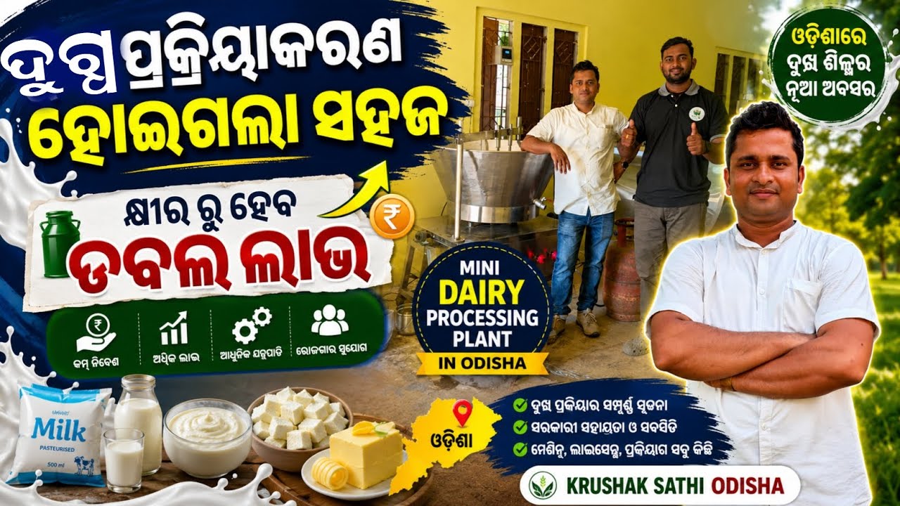 Start a Mini Dairy Processing Plant in Odisha 🥛 | Low Investment, High Profit | Krushak Sathi Odisha