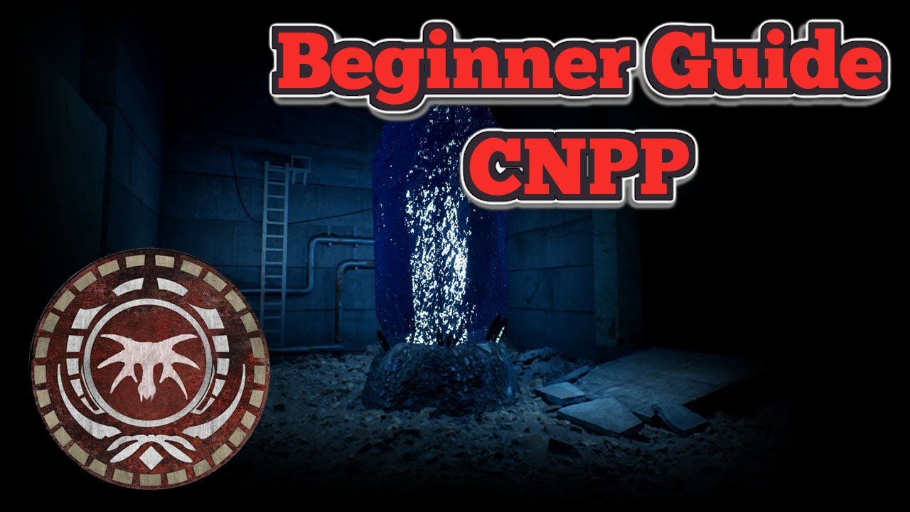 Руководство для начинающих Stalker GAMMA: CNPP