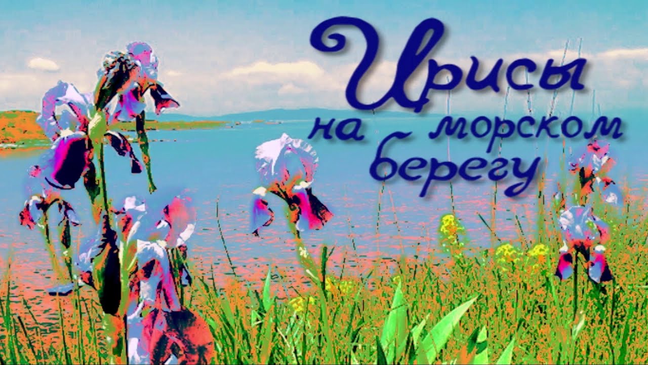 Ирисы на морском берегу