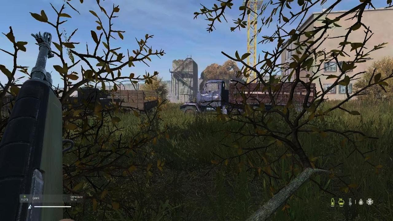 DayZ DMR
