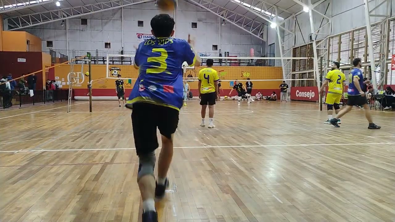 TT VS LAV