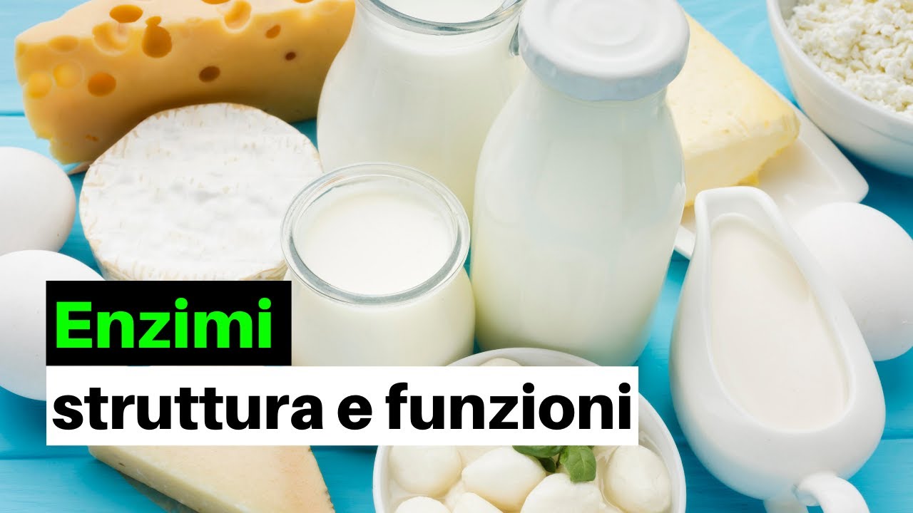 Enzimi: ecco cosa cosa e a cosa servono