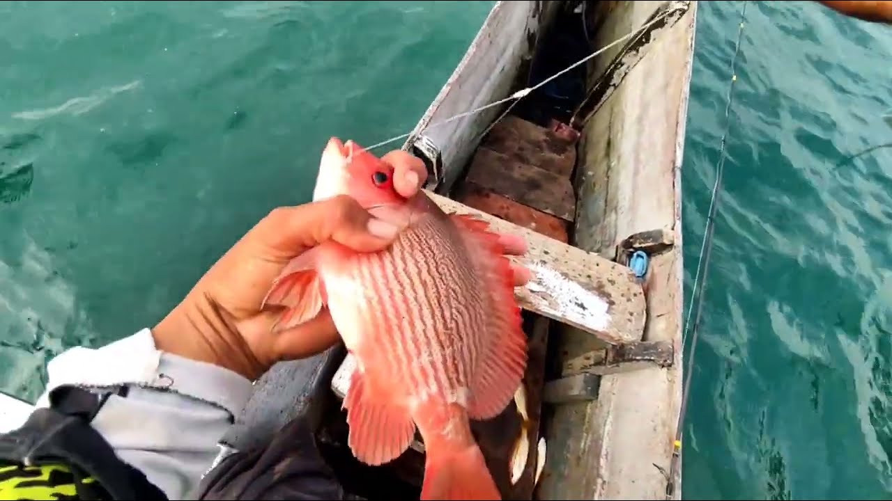 Mancing di spot rompon pinggir,, BALIKPAPAN @mryuzof8583