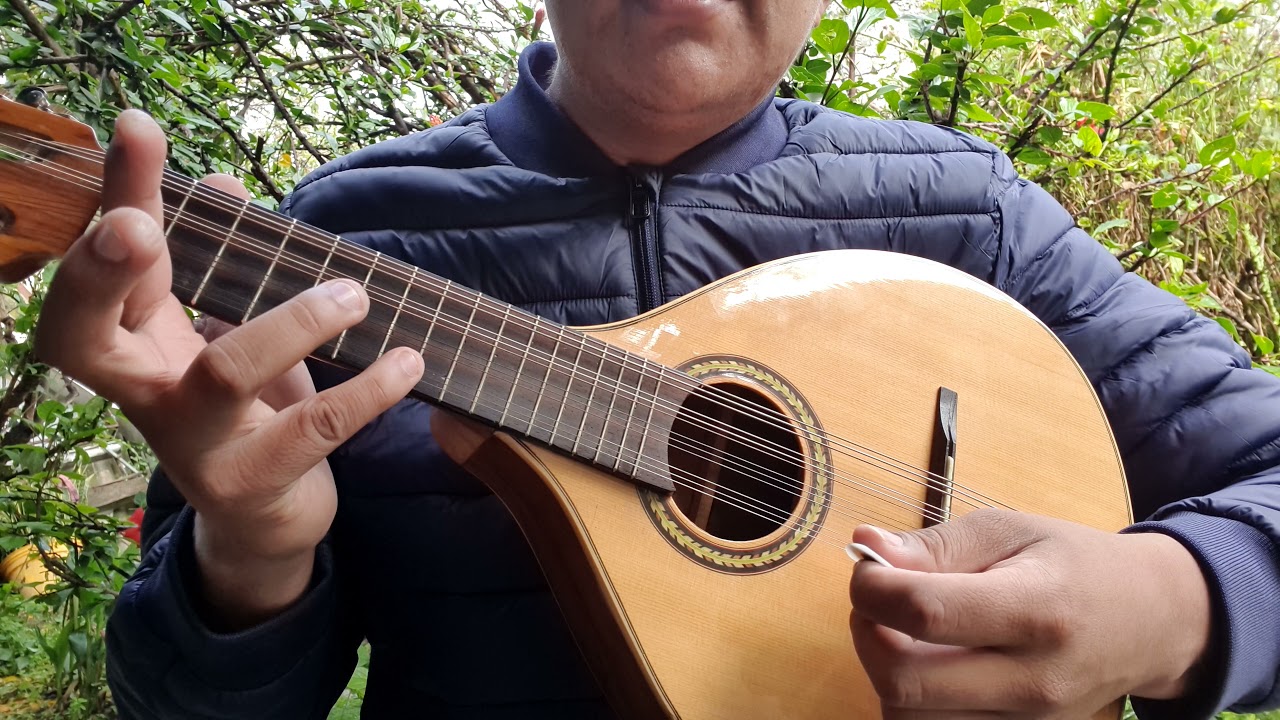 Curso Intensivo Mandolina Sesión 3/50 Prof Fernando Ortiz Pichardo. Aprende A Tocar 100% Garantizado