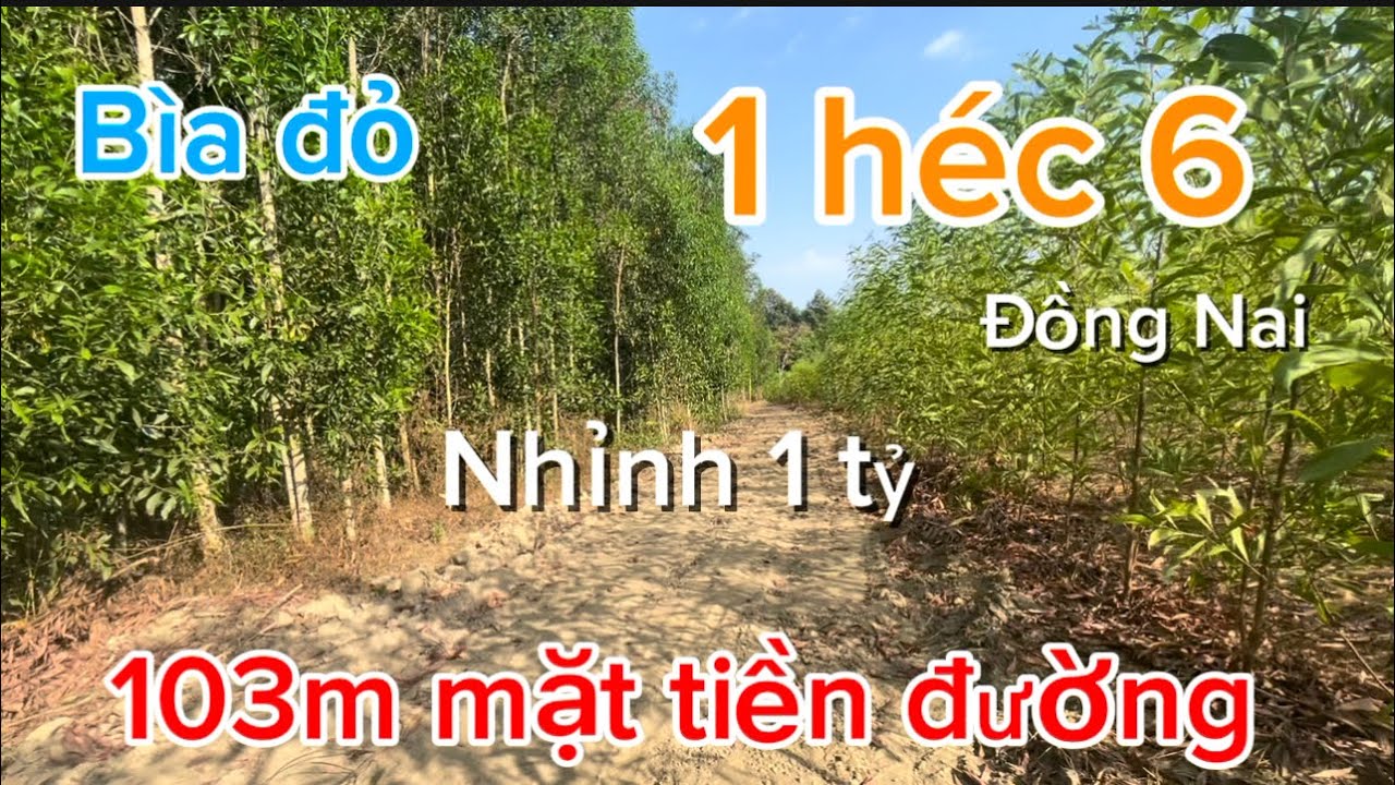 Bán 1 héc 6 sổ Hồng riêng giá bán hết chỉ hơn 1 tỷ tại đồng Nai 