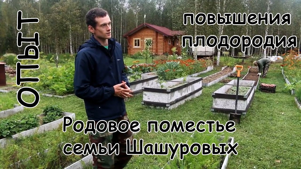 Опыт повышения плодородия почвы в Родовом Поместье семьи Шашуровых