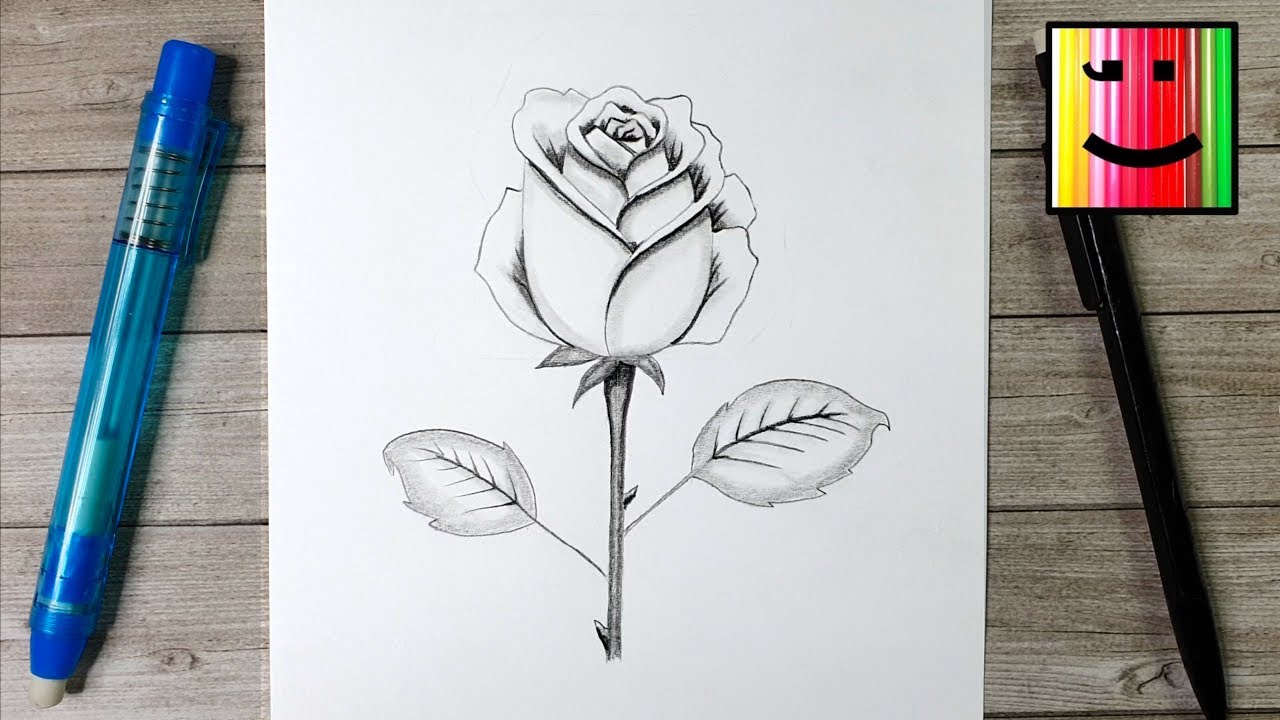 Comment dessiner une rose au crayon de papier