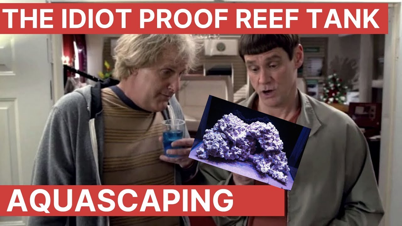 Idiot Proof Reef Tank - Aquascape