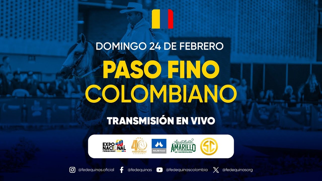 40° FEDEQUINAS NATIONAL EQUINE EXHIBITION - PEREIRA 2024 - DAY 4 - PASO FINO COLOMBIANO  ( ENGLISH )