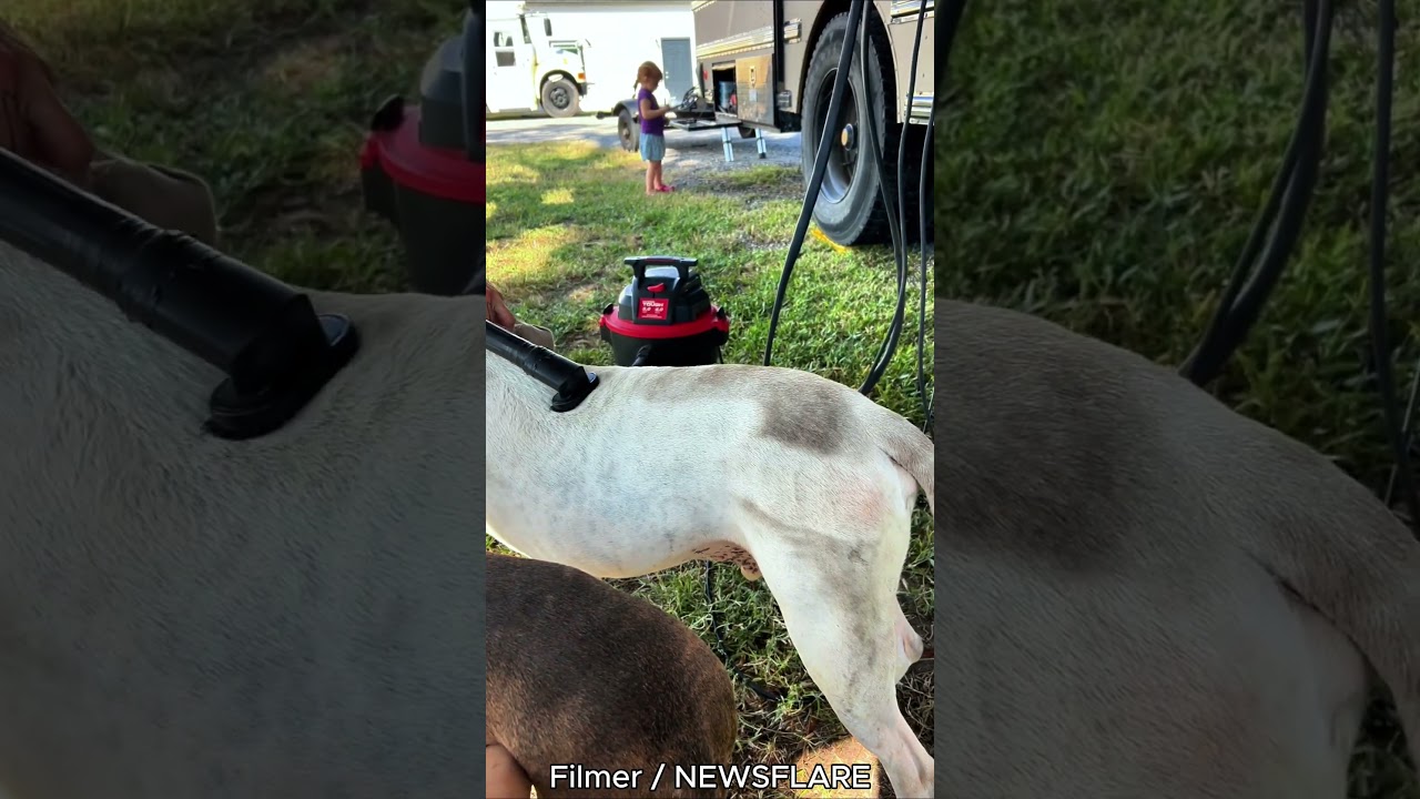 Off-Grid Family Uses Vacuum 