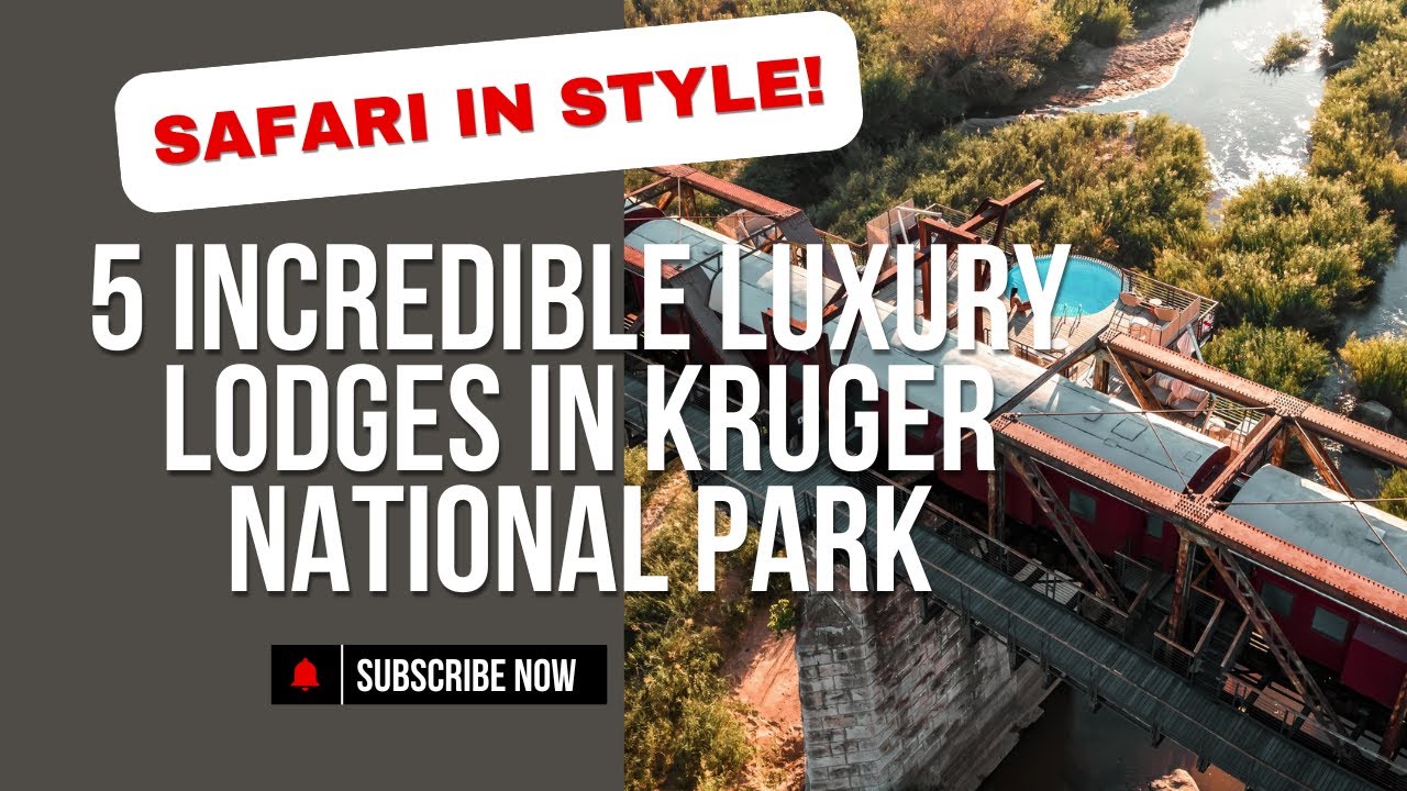 5 INCREDIBLE Luxury Lodges in Kruger National Park