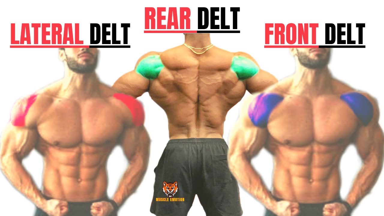 15 BEST SHOULDERS WORKOUT WITH  DUMBELLS AT HOME OR AT GYM