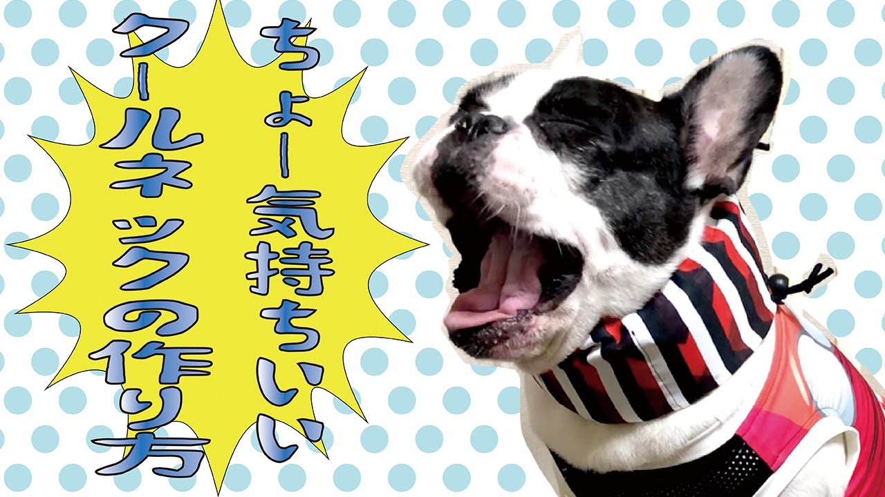犬用クールネックの作り方（フレブル用型紙付き）【オリジナル犬服DIY】