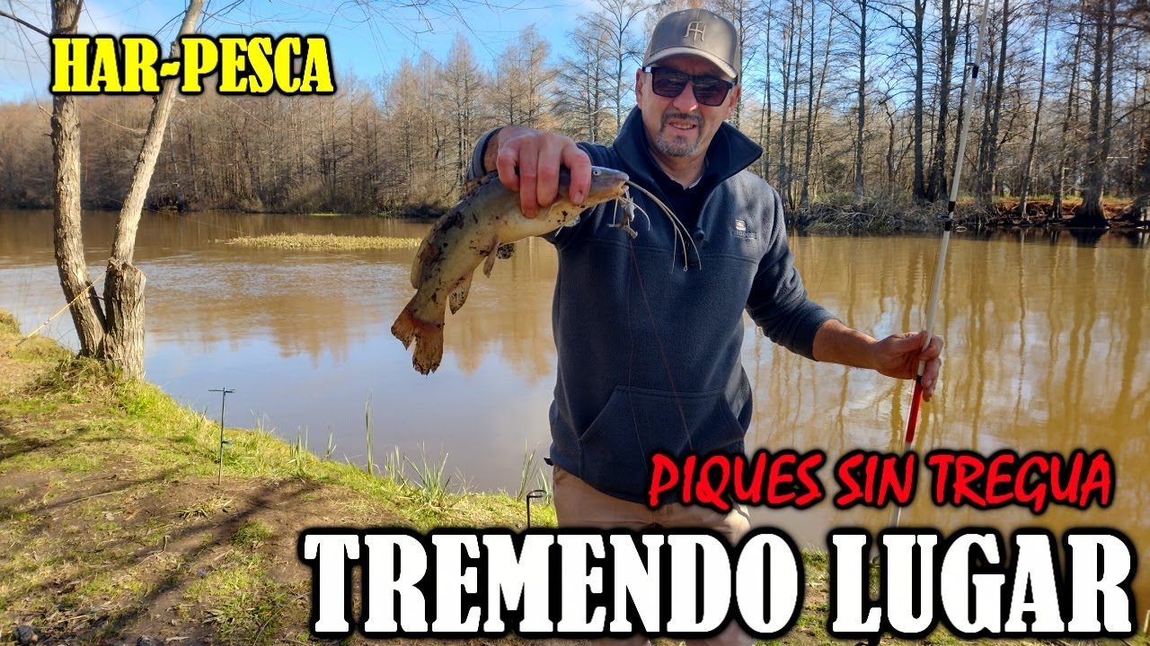 Increíble "PESCA en este ARROYO" Un pique tras otro.... no me dieron tregua. Historia de vida...