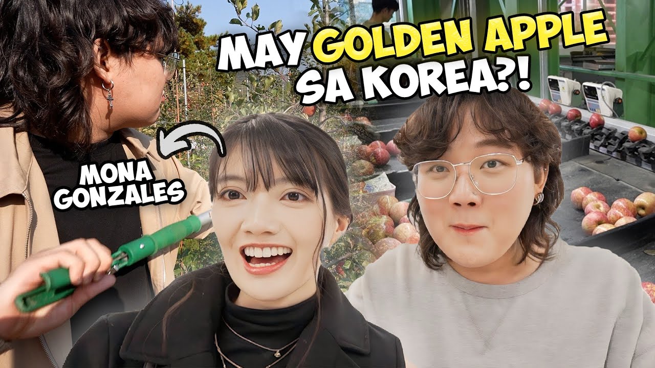 CHEONGSONG KOREA - Apple FESTIVAL & FARM Experience | Jinho Bae