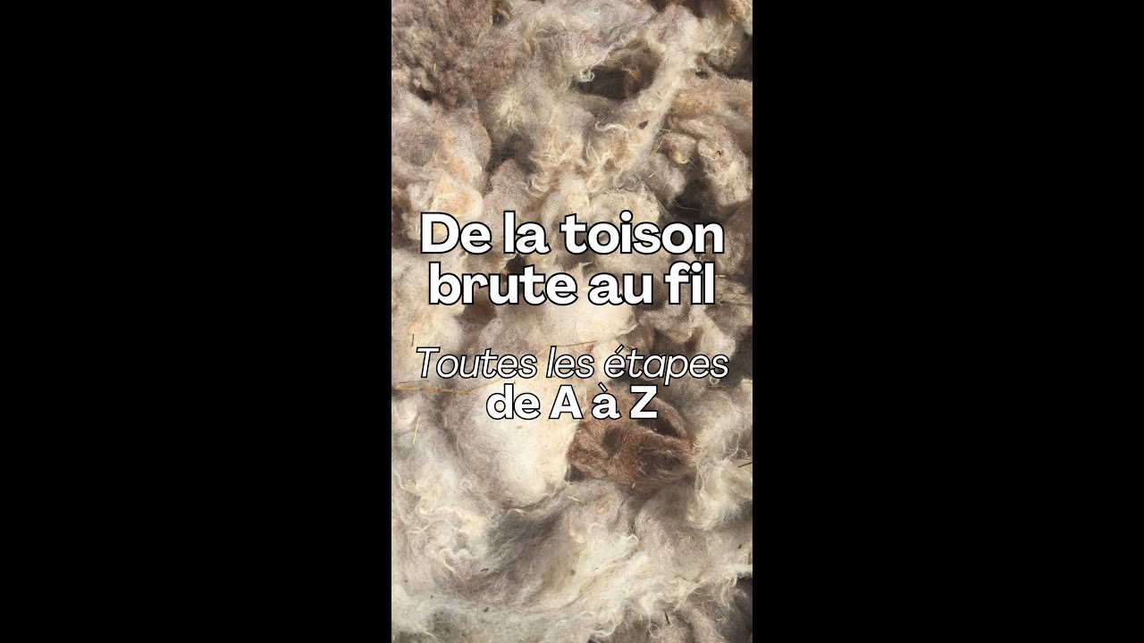 Transformation de la laine, de la toison brute au fil