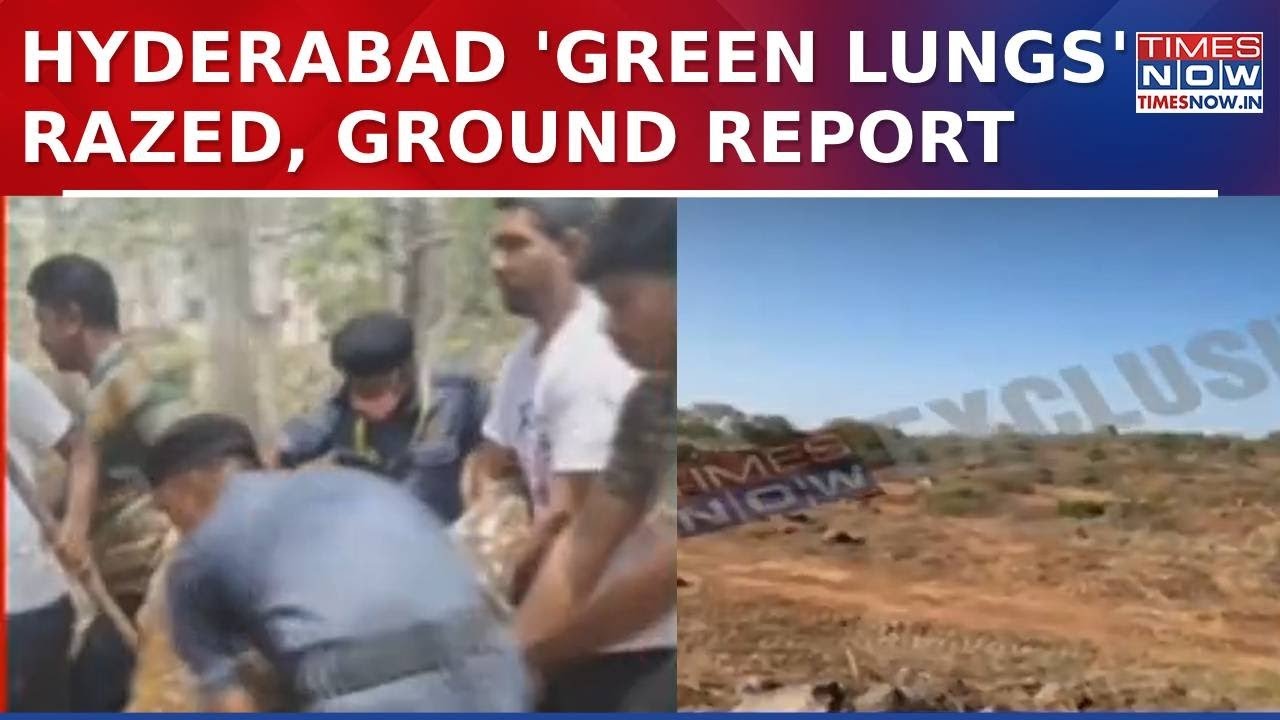 Hyderabad Deforestation Row: Ecosystem Destroyed, Wildlife Ravaged-Who's To Be Blamed?|Ground&nbsp;Report