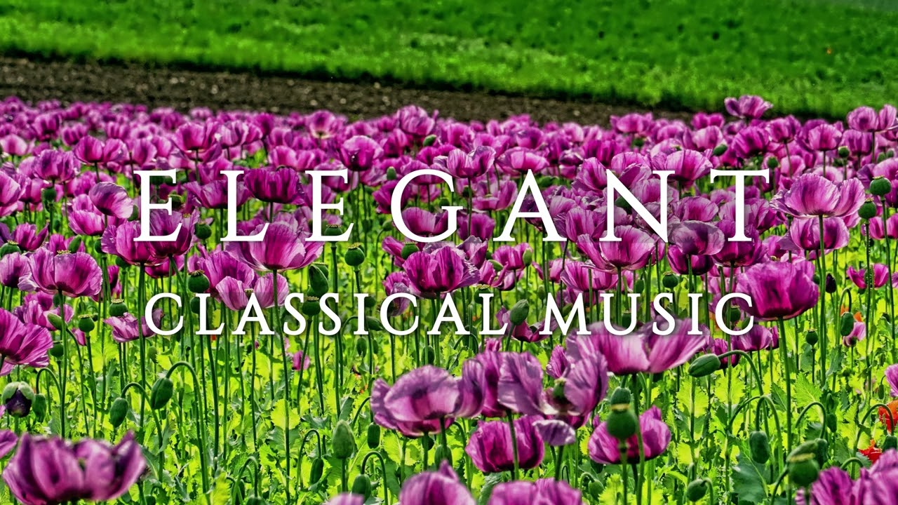 Elegant Classical Music - Bach, Handel, Beethoven, Schubert